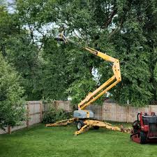 Best Leaf Removal  in Geneva, NY