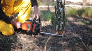 Soil Testing and Treatment in Geneva, NY